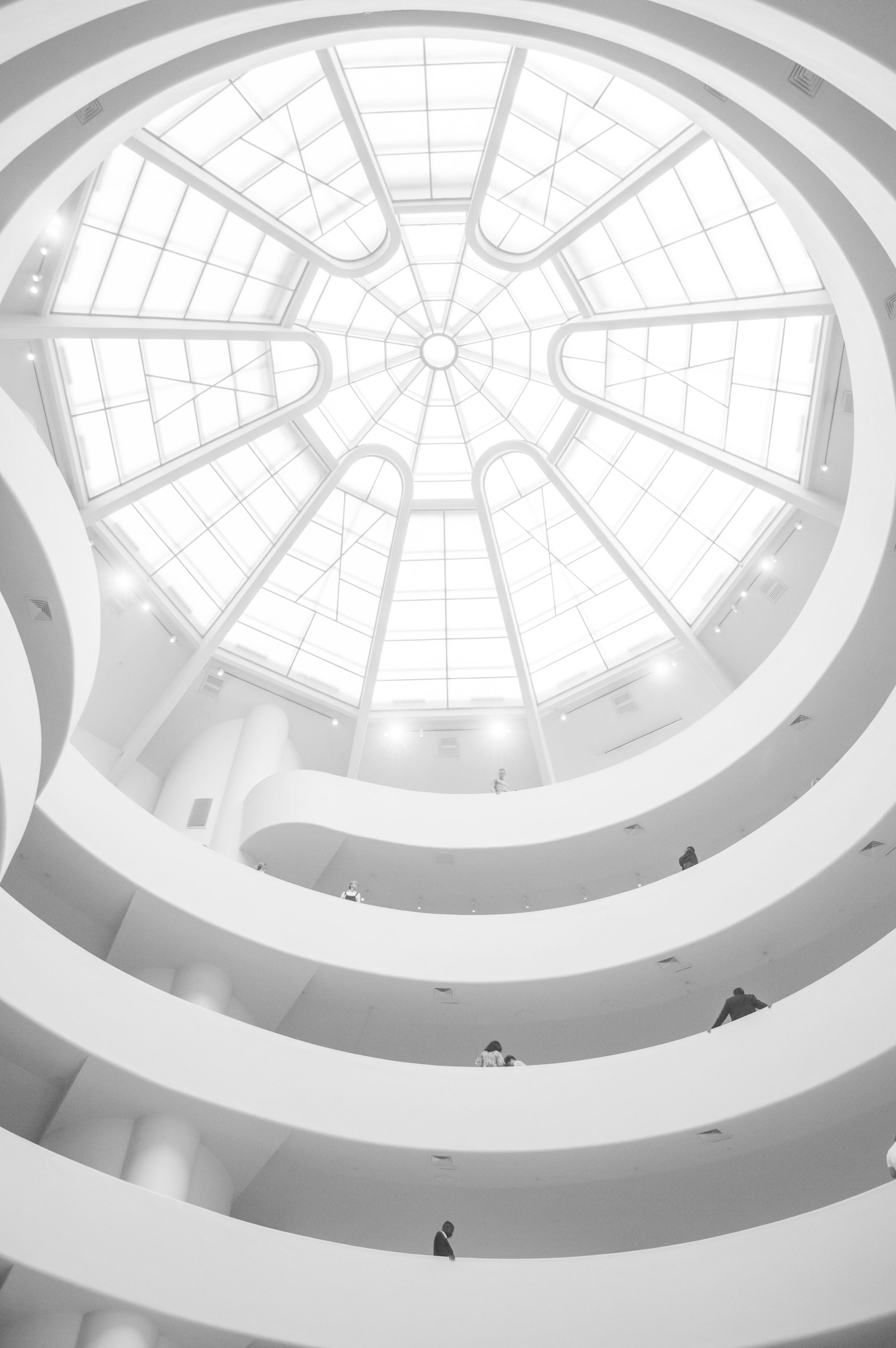 Light falling through a coffered rotunda ceiling